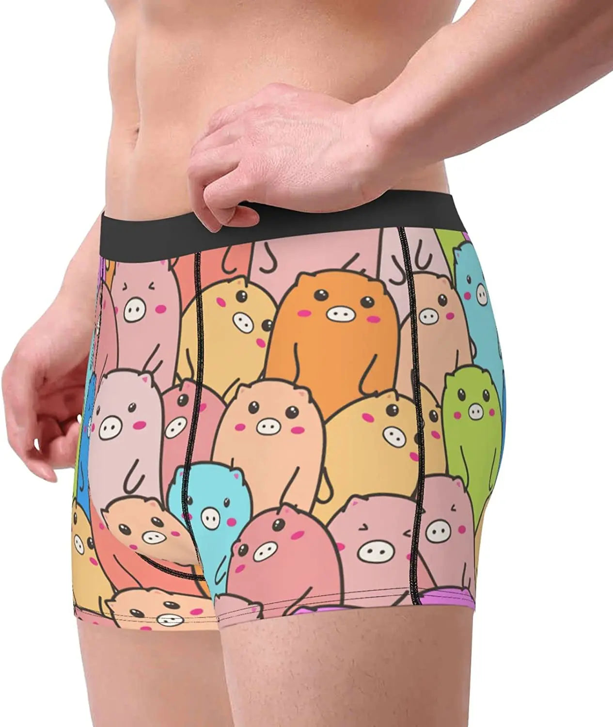 Colorful Pigs Boxer Briefs