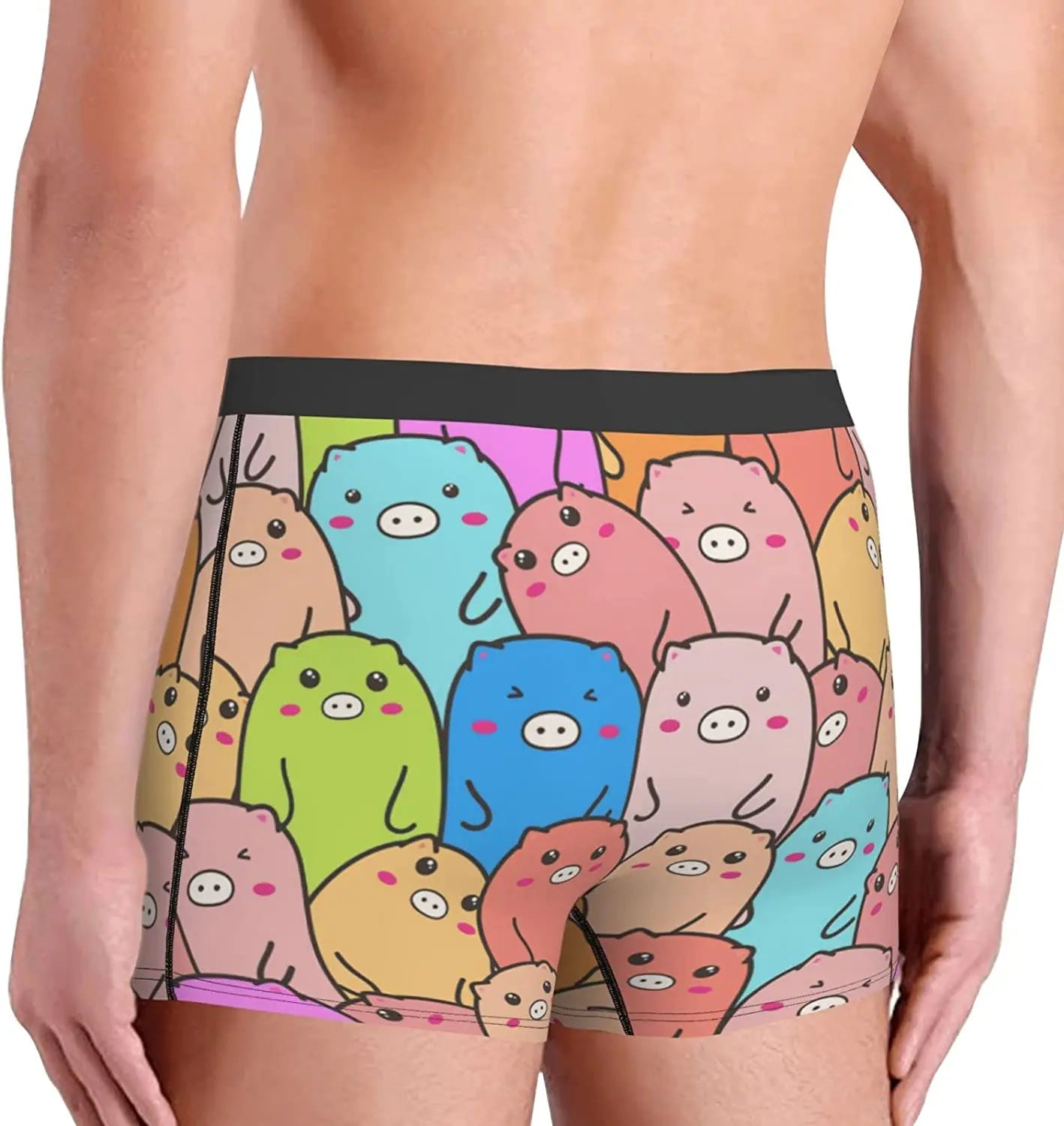 Colorful Pigs Boxer Briefs